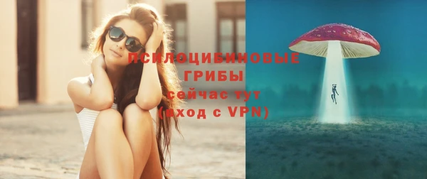 прущие грибы Навашино