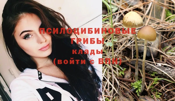гидропоника Наволоки