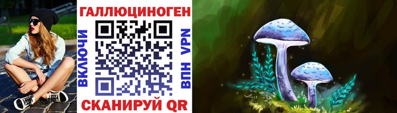 сколько стоит  Кизел  Галлюциногенные грибы мухоморы 